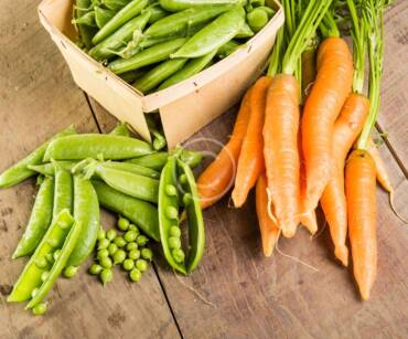 Top 5 the Most Healthy Vegetables